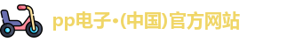 pp电子